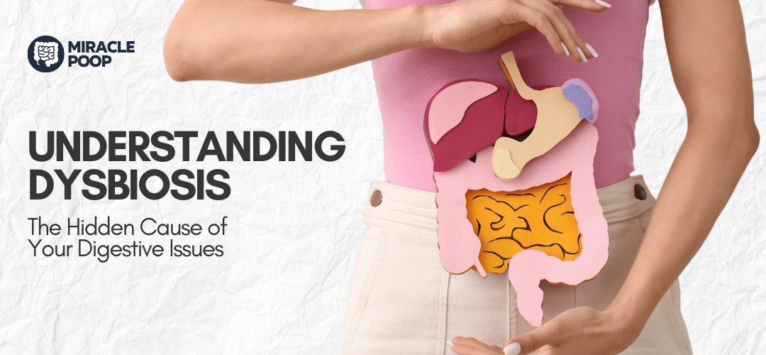 what is dysbiosis – microbiome imbalance illustration