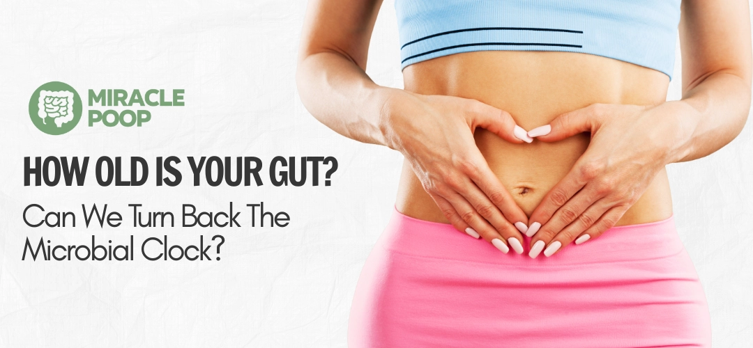 Illustration of aging gut microbiome and its link to chronic disease