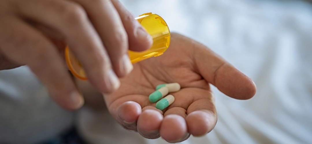 Fermented foods and prebiotic fiber to rebuild microbiome after antibiotics
