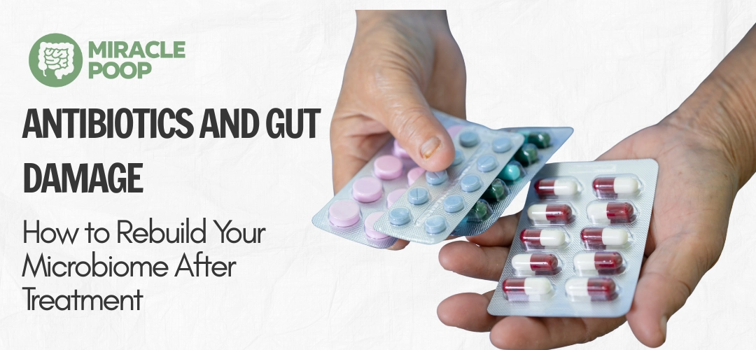 Antibiotics can disrupt gut bacteria; steps to rebuild the microbiome
