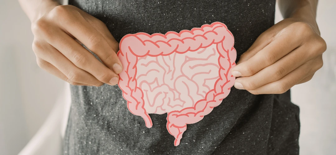 Stress Cortisol Gut Microbiome: How Stress Affects Digestion