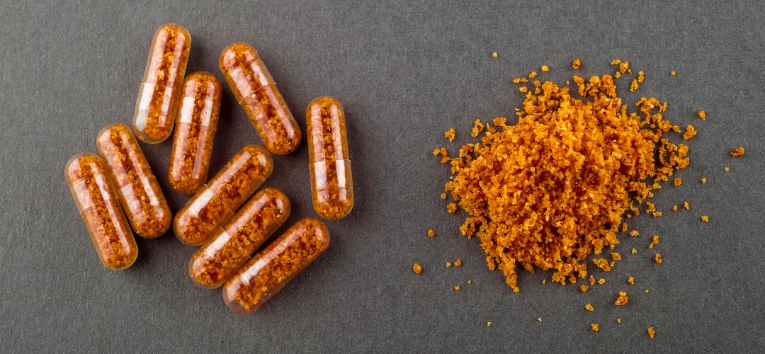 Synthetic fecal Stool Fecal Transplants